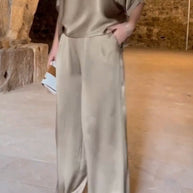 WW | Einfarbiger, seidiger V-Ausschnitt lässiger Anzug