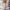 Damen Strickjacke mit grobem Zopfstrickmuster und weitem Schnitt WW