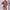 Damen komfortables Kurzarm Set mit Rippstrick und relaxed Schnitt WW