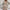 Damen figurbetontes Minikleid mit Knopfdetail und asymmetrischem Saum W&W