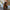 WW | Damen Jumpsuits Lockere Sling Druck Tasche Lässiges Jumpsuit