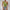 Damen Asymmetrisches Crop-Top mit Rüschendetails WW