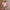 Damen Bluse mit dekorativem Lochmuster und elegantem V-Ausschnitt WW