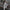 Damen Bequemer Sportanzug mit weitem Schnitt und modischen Details WW