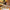 WW | Damentasche aus Leder
