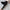 Damen Hochtaillierte Yogahose mit elastischem Bund und Rippstruktur WW