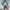 Damen Sportliches Jacken- und Shorts-Set mit farbenfrohen Grafiken WW