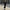 WW | Ärmelloses Bodycon Boutique Party Kleid