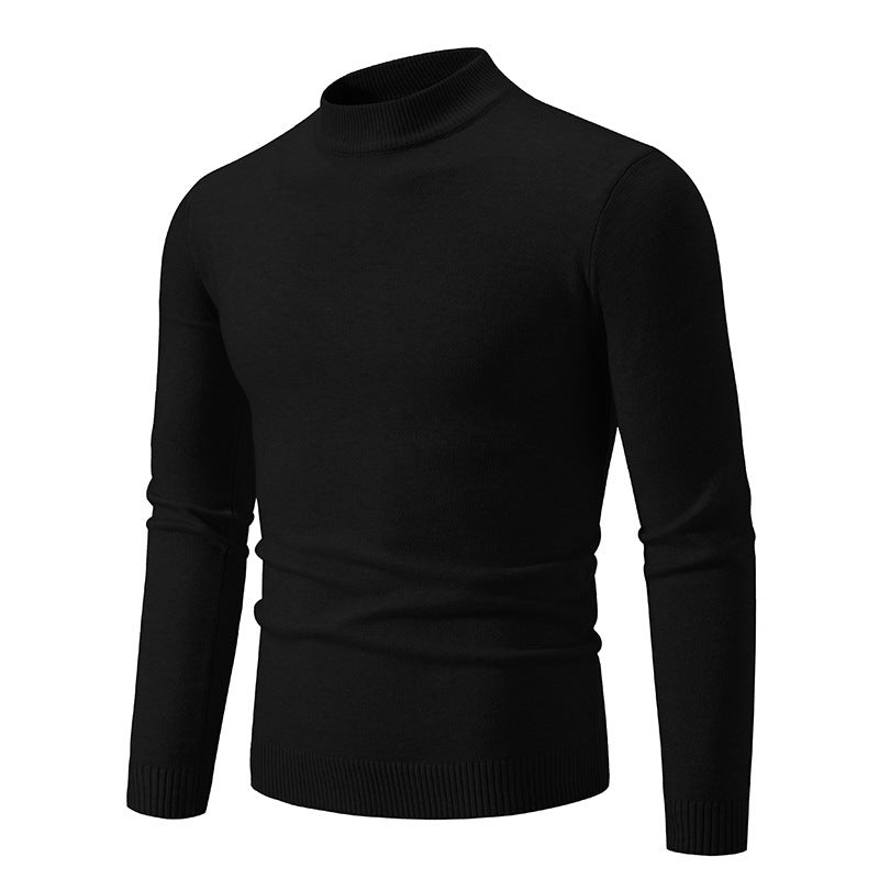 Herren Rollkragenpullover aus weichem Strickmaterial WW