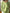 Damen Strickpullover mit strukturierter Verarbeitung und weichem Griff WW