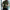 WW | Baumwoll Shirt Herren