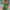 Damen Bikini-Set mit voluminösen Rüschen und unterstützenden Cups WW