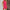 Damen eleganter Jumpsuit mit hochwertigem Stehkragen und offenem Blazer-Design W&W