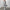 Damen Bequeme Freizeithose mit weitem Bein WW