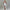 Damen Elegantes Maxikleid mit asymmetrischem Saum und figurbetonter Passform W&W