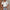 Damen Bluse mit dekorativem Lochmuster und elegantem V-Ausschnitt WW