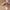 Damen atmungsaktive Ballerinas mit elegantem Lochmuster und rutschfester Sohle WW