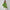 Damen Bequemer Oversized Pullover aus hochwertigem Strick WW