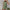 Damen lässiges Sommer-Outfit in hochwertigem Material mit ärmellosem Top und Shorts WW