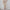 Damen Bequeme High-Waist Pants mit Taillengürtel WW