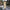 Damen Maxikleid im eleganten Satin-Look mit figurbetonendem Schnitt WW