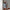 Damen sportliches Set mit Crop-Oberteil und Minirock WW