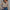 Damen Bluse mit asymmetrischem Kragen und Knopfdetails WW