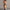 Damen Lange Strickjacke im bunten Ethno-Design und modernem Schnitt WW