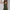 Damen Leichte Sommerbluse und Shorts Set WW