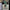 Damen Maximaler Oversized Mantel mit Schulterschultern und Doppelreihe WW