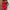 Damen Bandeau Jumpsuit mit floralem Print und elastischem Bund WW