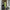 Damen Bodycon Maxikleid mit schulterfreiem Design und Raffungen WW