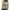 WW | Modernes T-Shirt mit Katzenprint