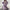 Damen bequemer und trendiger Sweatanzug WW