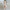 Damen Langarmhemdmaxikleid mit grafischem Muster und seitlichem Schlitz WW