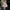 WW | Figurbetontes durchscheinendes Paillettenkleid Jumpsuit