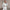 Damen sportliches Freizeit-Set mit cropped Hoodie und weiten Hosen WW