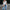 Damen Glitzernder Blazer aus Pailletten mit modernem Schnitt WW