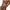 Damen Bandeau Bikini-Set mit hochgeschnittenem Slip WW