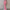 Damen Bootcut-Hose mit hohem Bund und elastischem Taillenband WW
