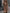 WW | Bodycon Rundhals Ärmellose Mini Kleid