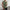 Damen asymmetrisches Top mit Drapierung und elegantem Schnitt WW