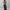 Damen Langarmshirt mit camouflagemuster WW