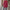 Damen Strickjacke mit strukturiertem Design und praktischen Taschen WW