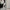 Damen Eleganter Spitzen-Overall mit floralen Motiven W&W