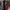 Damen attraktive Jacke im angesagten Leopardenmuster WW