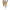 Herren Cargo-Shorts mit Utility-Taschen WW