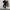 Damen Freizeitleggings mit hoch gezogenem Taillenbund und lässigem Sweater WW