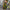 WW | Damen Jumpsuits Lockere Sling Druck Tasche Lässiges Jumpsuit
