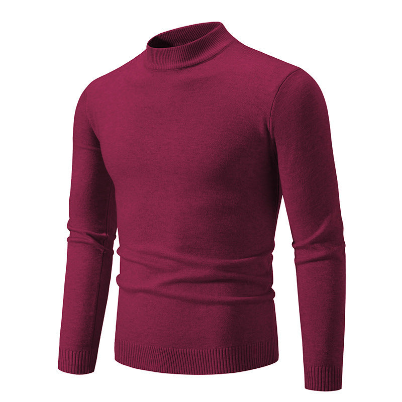 Herren Rollkragenpullover aus weichem Strickmaterial WW